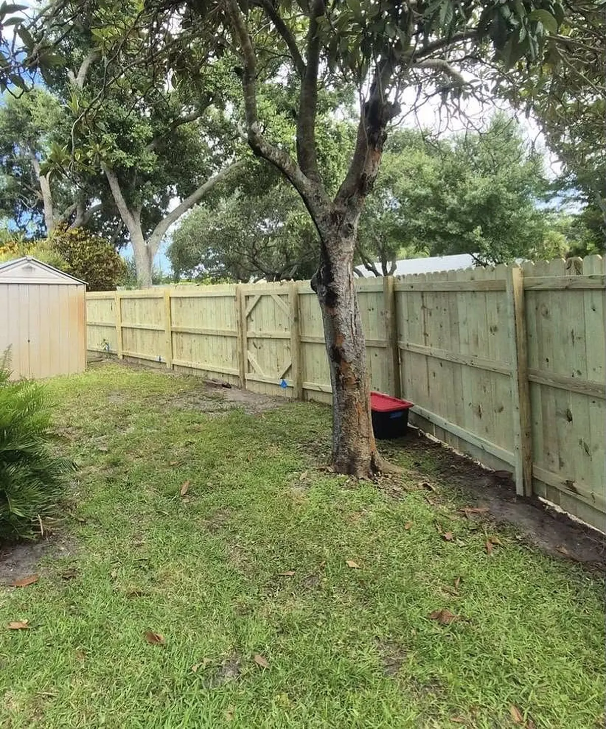 Dog-ear privacy fence around a backyard